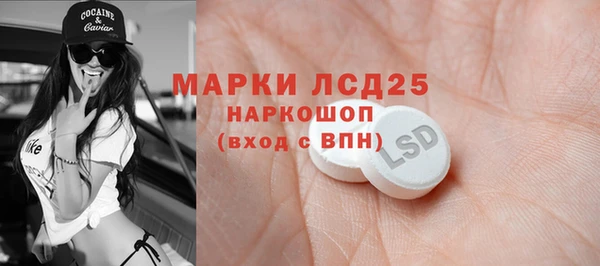 индика Корсаков