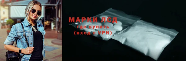 индика Корсаков