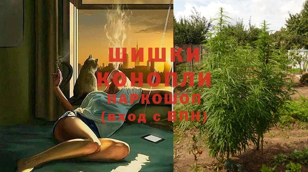 бошки Костерёво