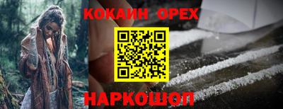 apvp Гатчина