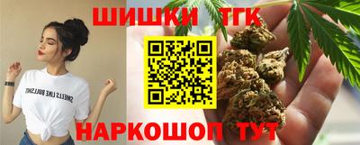 apvp Гатчина